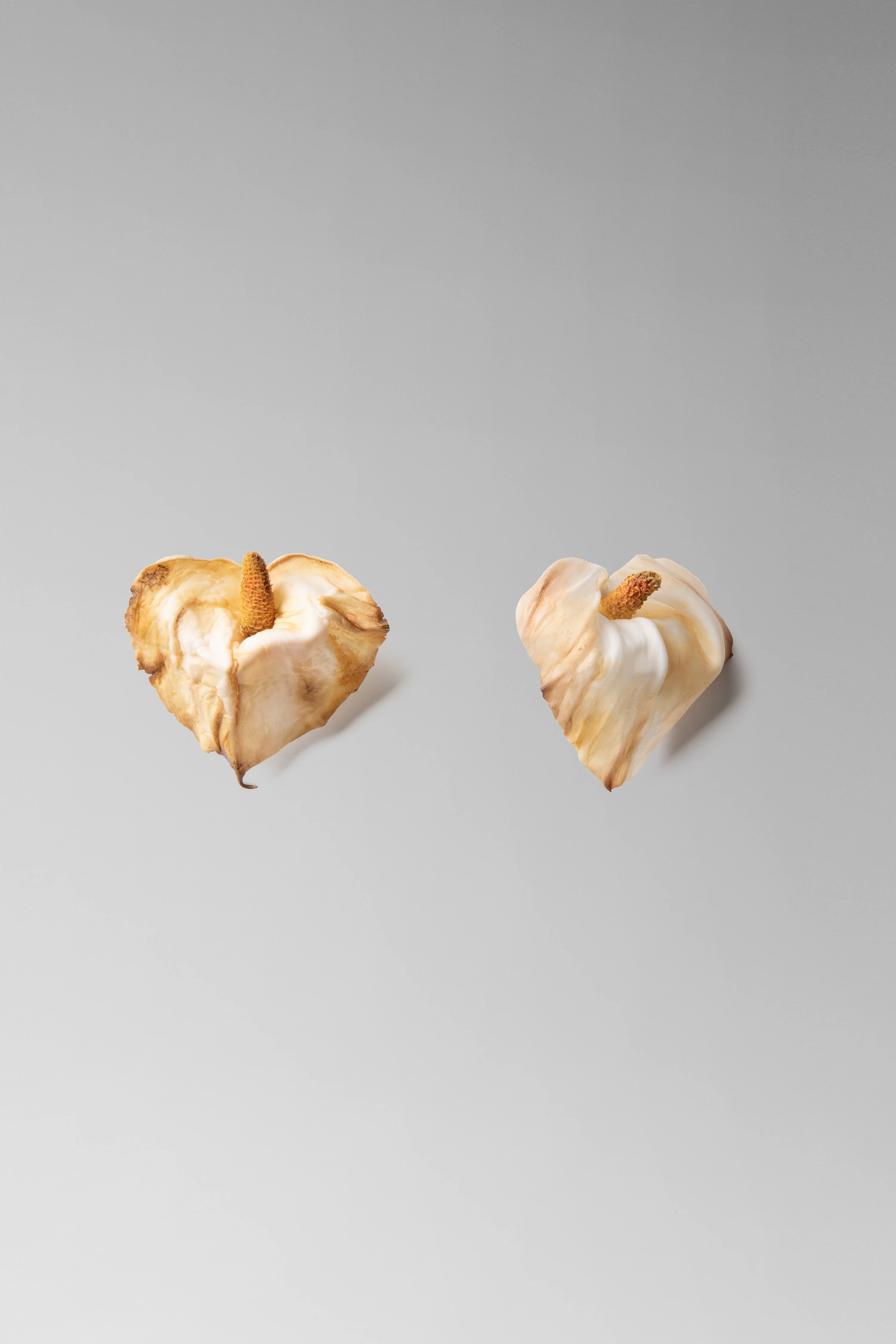 Calla Lily Earrings - Image 3