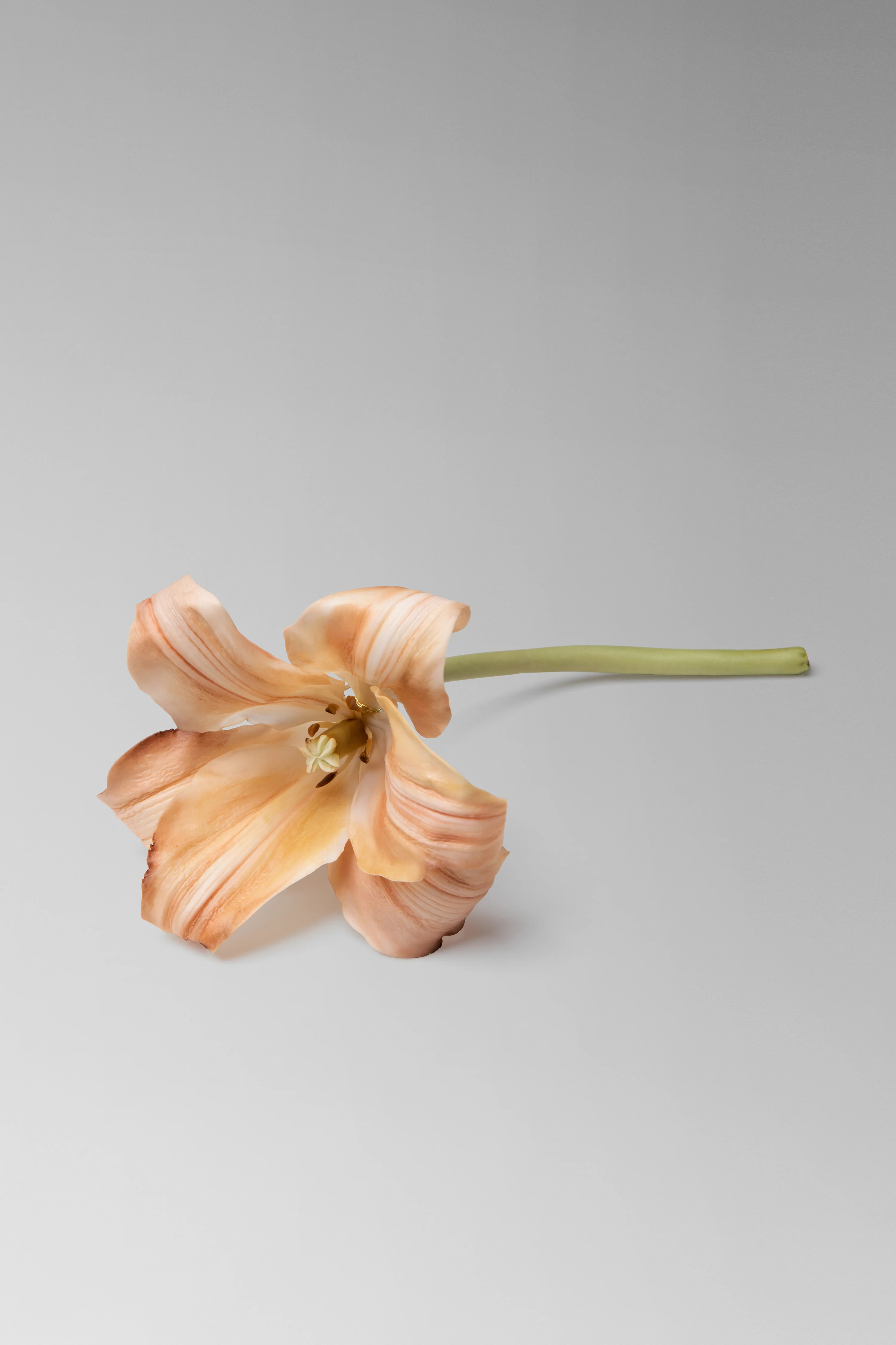 Daylily Brooch - Image 3