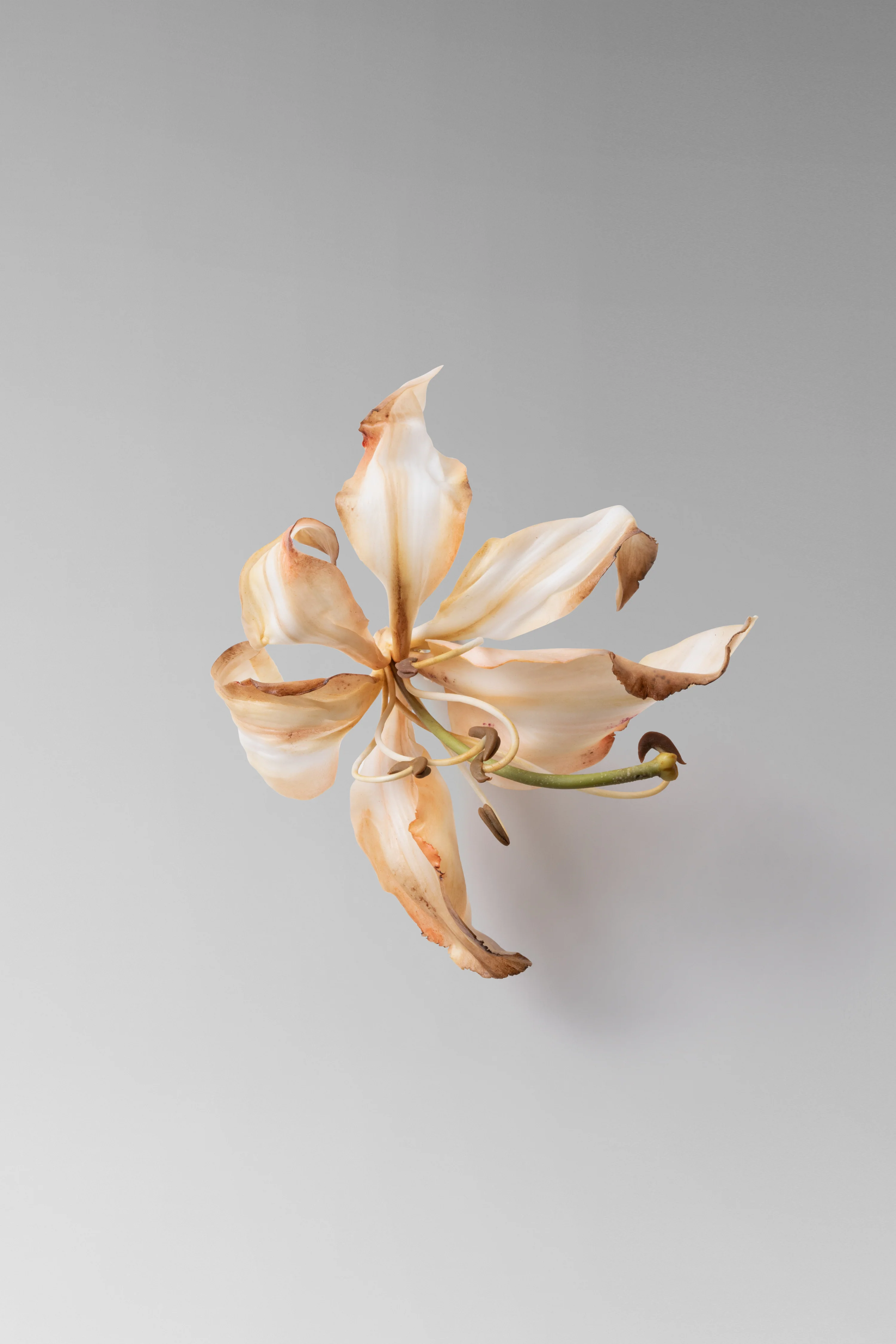 Lily Brooch - Image 2