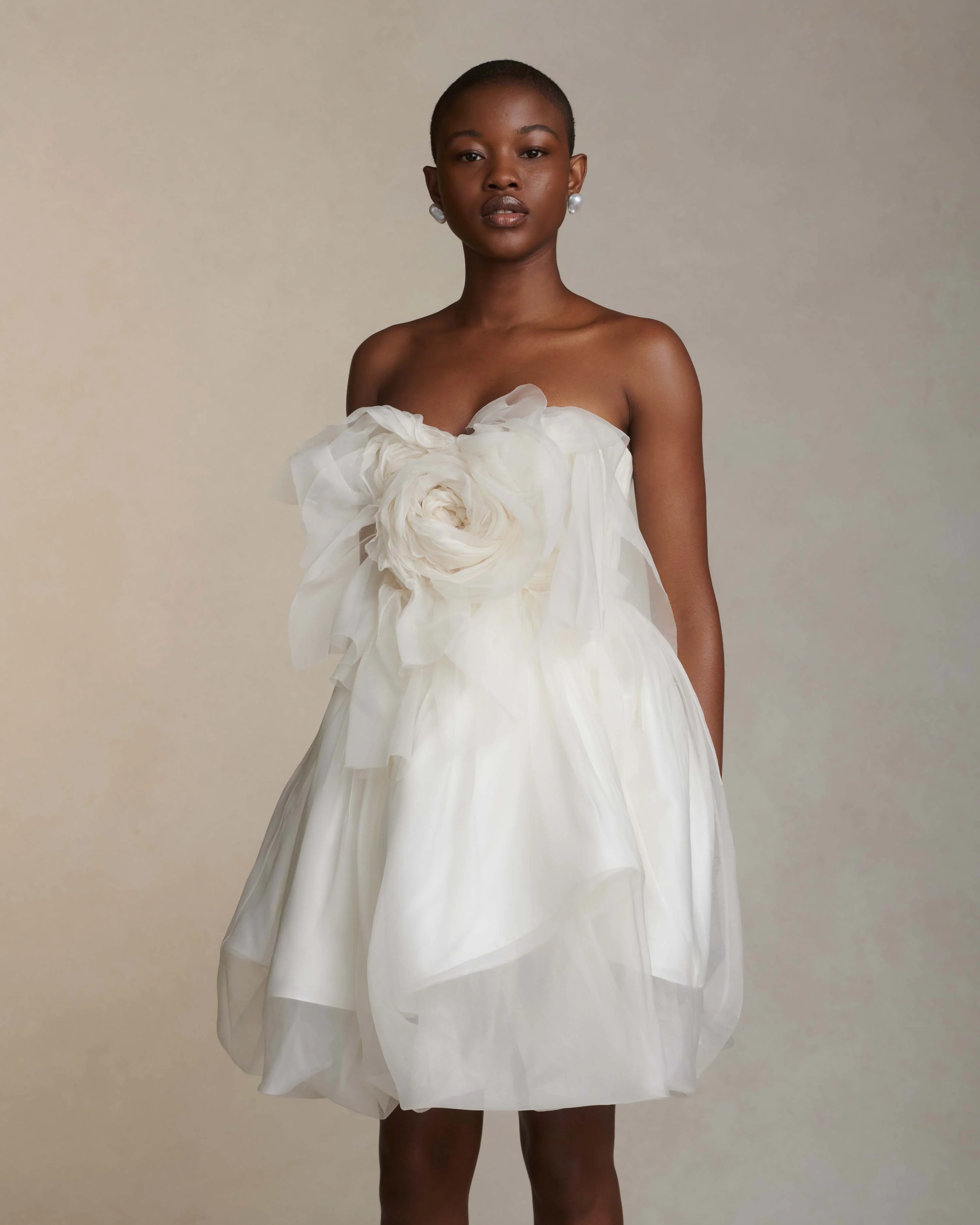 Lottie - Image 4