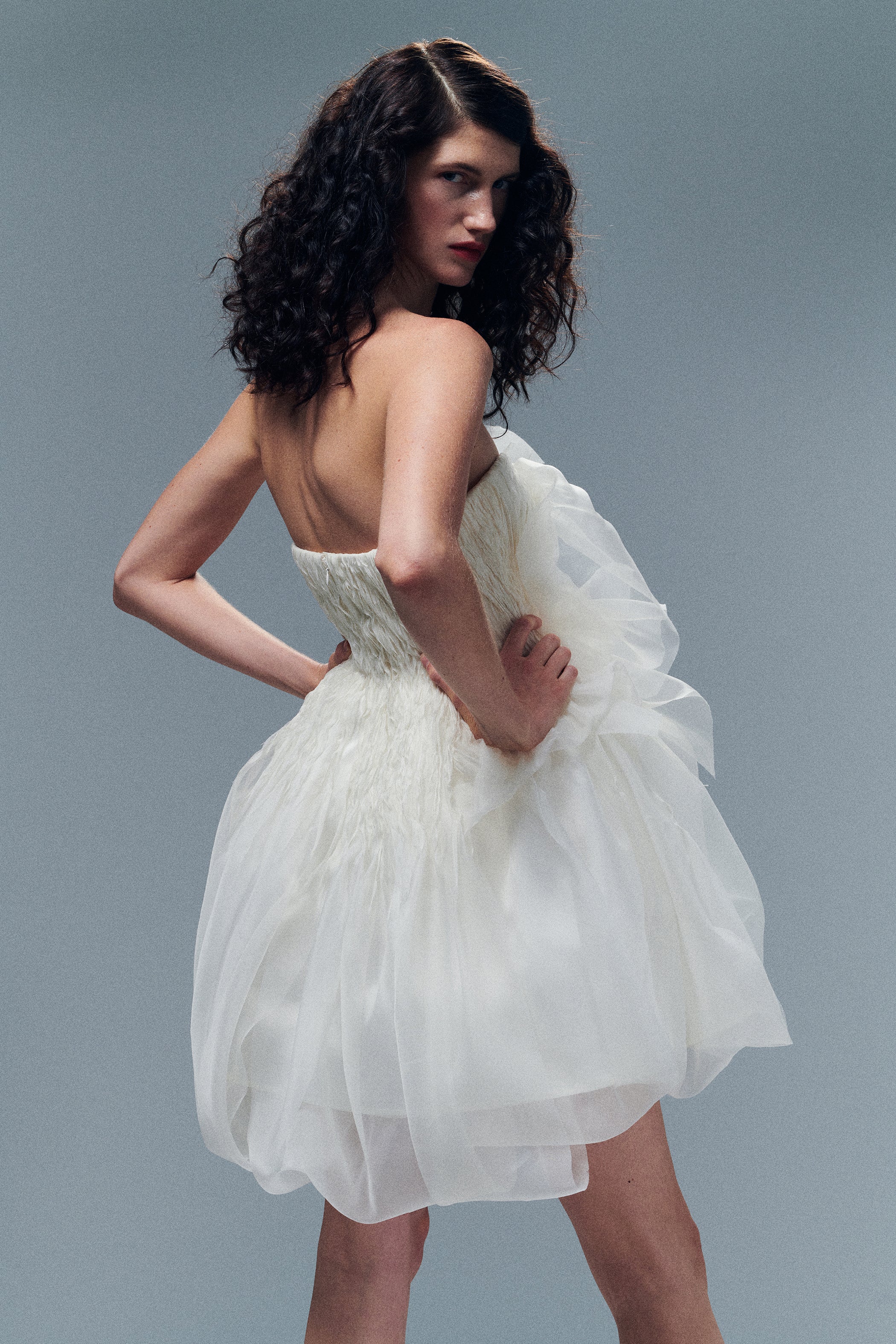 Lottie - Image 6