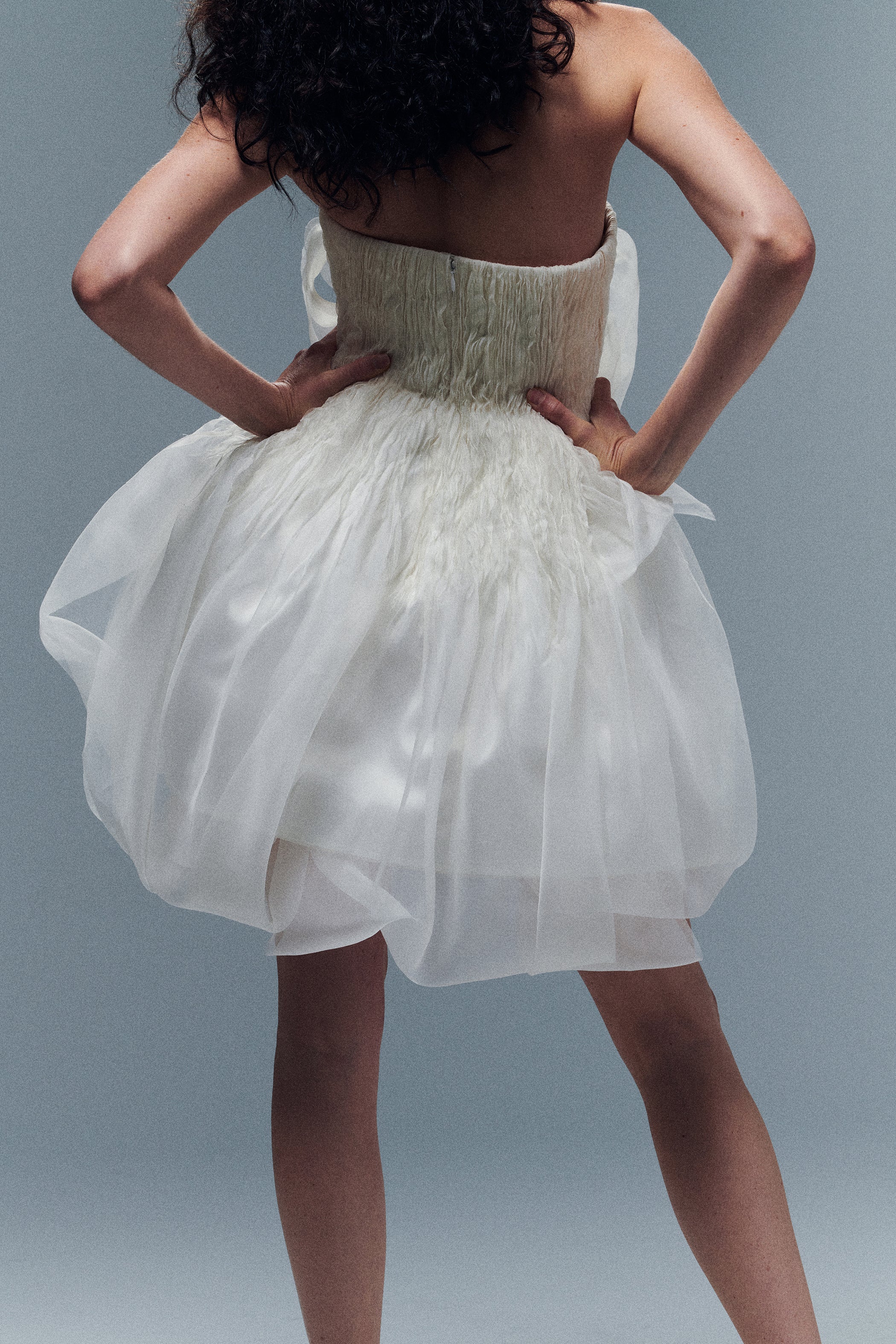 Lottie - Image 7