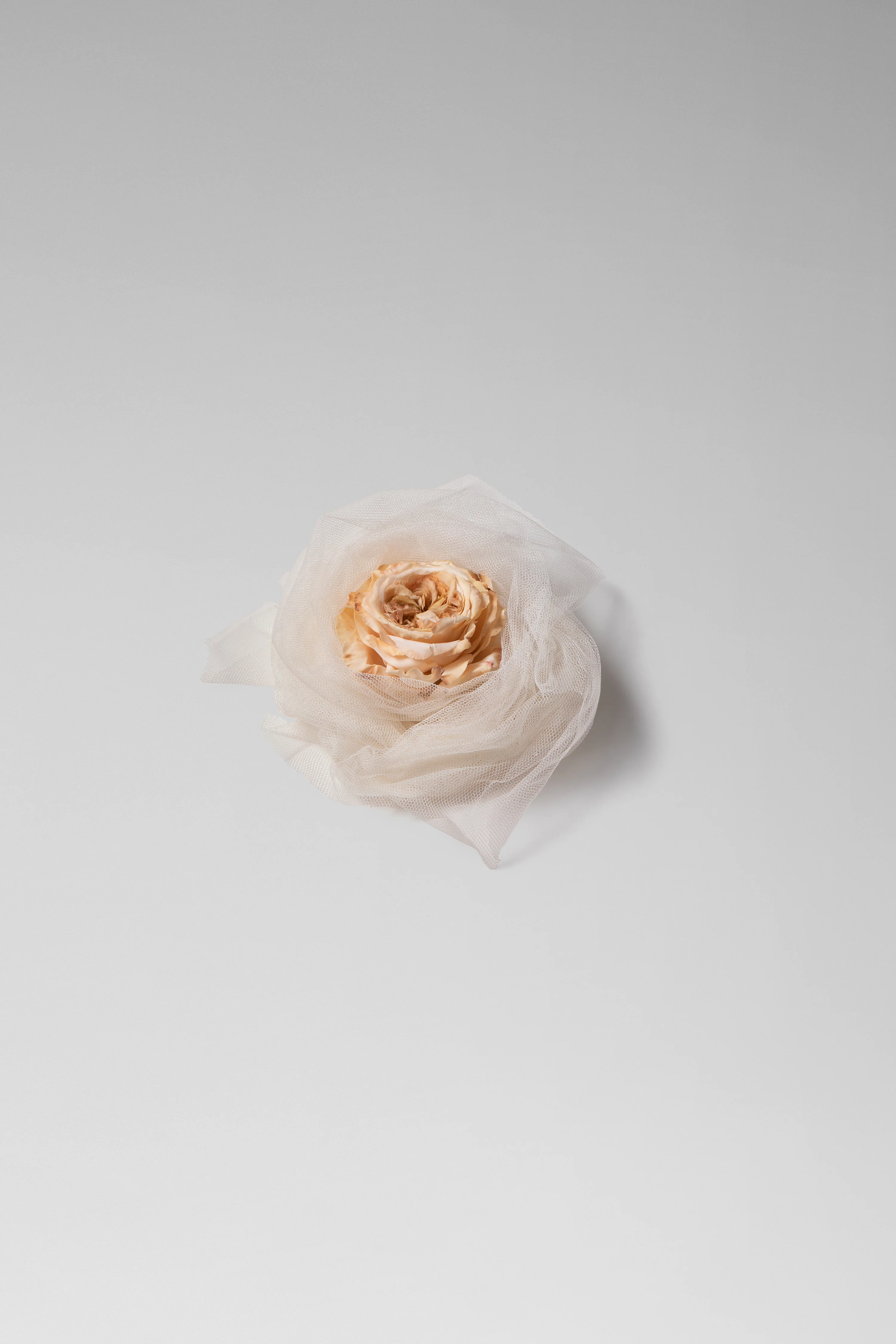 English Rose Brooch - Image 2